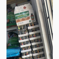 Brand New Dogs Pet Accessories