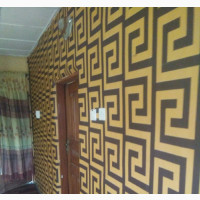 Wallpaper Installation and House Painting