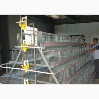 Budget Friendly 160 Birds Imported High Galvanized Cage