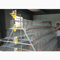 Budget Friendly 160 Birds Imported High Galvanized Cage