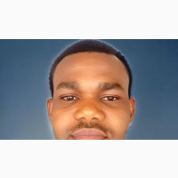 Admin/ Computer Engineer, Computer/Data Processing Officer