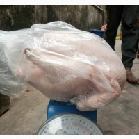 Organic Chicken Available for Wholesale and Retail