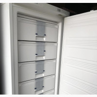 6 Compartment Standing Freezer
