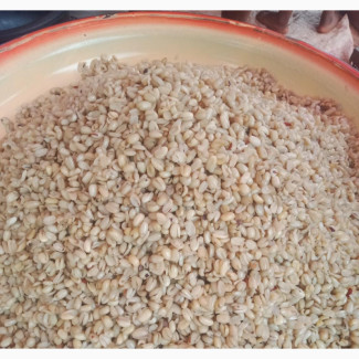 Dried Ukwa (Breadfruit) - Enjoy a Delicious Local Delicacy