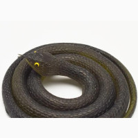 Quality Rubber Snake for Prank 1