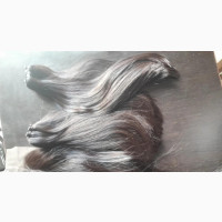 12, 10, With 2 By 6 Closure 12 Inches Natural Color Bonestrai