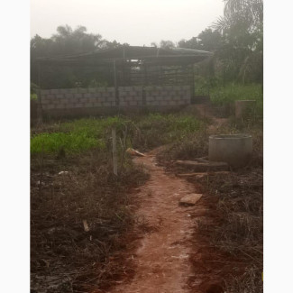 300sqm Land with Receipt For Sale at Igando