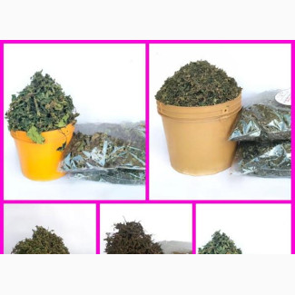 Dried/Dehydrated Leaves(Per Paint)