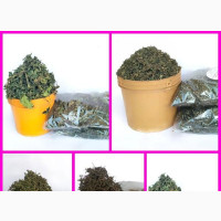 Dried/Dehydrated Leaves(Per Paint)