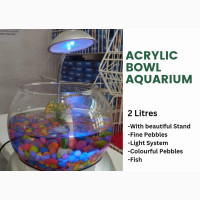 Lovely Bowl Aquarium - Perfect for Your Fish