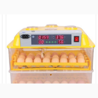 Brand New Egg Incubator - Available at Ptech