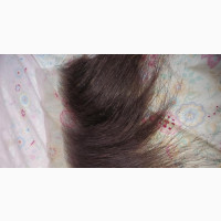 Affordable Ventilate Full Frontal Hair Extensions Wigs for Women