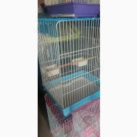 Parrot Bird Cage Medium