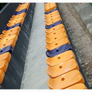 Low Back Stadium/ Pavilion Seat