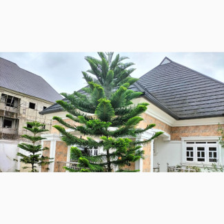 4bdrm Bungalow in Owerri for rent
