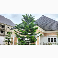 4bdrm Bungalow in Owerri for rent