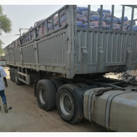 Cement for Sale