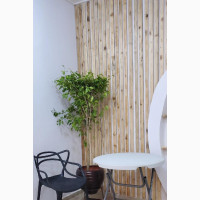 Aesthetic Content Creation Studio in Kubwa for Rent