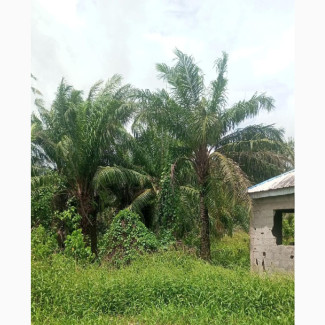 Plots of Land for Sale in SHIBIRI Lagos State