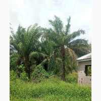 Plots of Land for Sale in SHIBIRI Lagos State