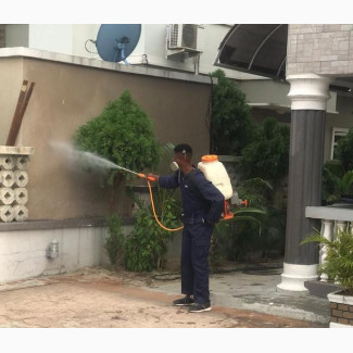 Termite Treatment Fumigation Service