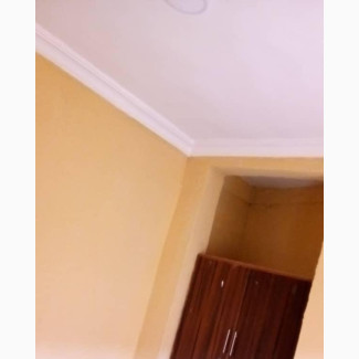 1 Bedroom Room Parlour in Alegongo Estate, Akobo for Rent