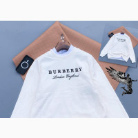 Sweet Shirt