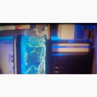 Fish Aquarium 100 Litres