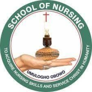 School Of Nursing Umulogho, Obowo 2025/2026 Admission Form