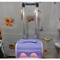 Deterchageble Trolley and Back School Bag for Age 5 to 10yrs