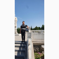 Native Chinese Language Teacher