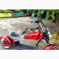 New CAD 2020 Red