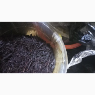 Black Halut