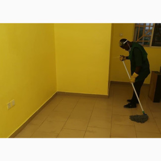 Intense Cleaning, Upholstery and Fumigation Services