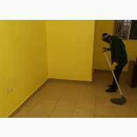 Intense Cleaning, Upholstery and Fumigation Services