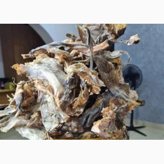 Kilogram and Wholesale Bag of Norway Stock Fish