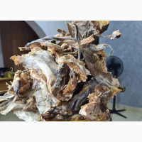 Kilogram and Wholesale Bag of Norway Stock Fish