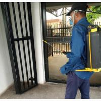 Professional Bedbugs Treatment and Fumigation Service in Mafoluku Area