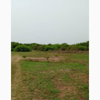 14.5 Plots Of Bare Land