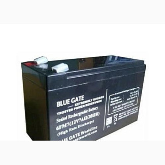Blue Gate UPS Replacement Battery
