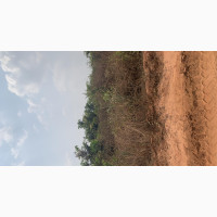 Land for Sale in Asaba at Ibusa Bypass
