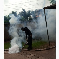 Compound Fumigation Service