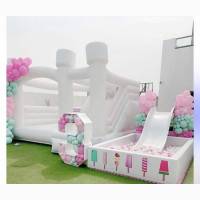 Bouncy Castle With Slide and Ball Pool
