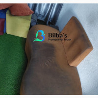 Professional Upholstery Cleaning Service