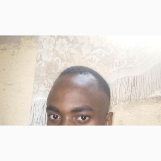 IT Professional Seeking Employment