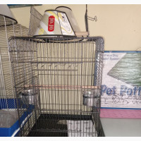 Strong Metal Parrot Cage