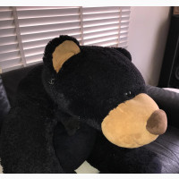 Teddy Bear