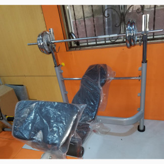 Olympic Weight Bench Without Weight American Fitness