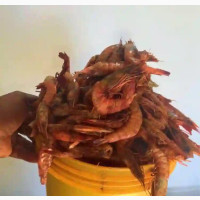 Seafood and Foodstuffs