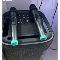 Hisense Rechargeable Speaker 300W - Brand New